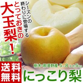 『にっこり梨』 栃木県 JAなすの 約5kg（5～8玉） 秀～優品　※常温  送料無料