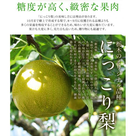 『にっこり梨』 栃木県 JAなすの 約5kg（5～8玉） 秀～優品　※常温  送料無料04