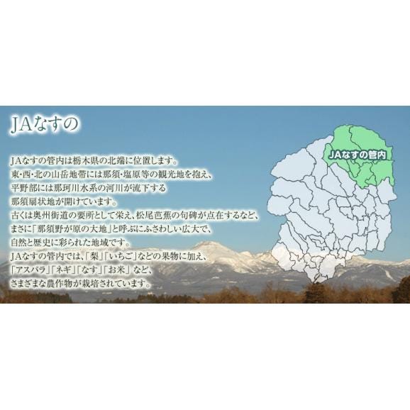 『にっこり梨』 栃木県 JAなすの 約5kg（5～8玉） 秀～優品　※常温  送料無料05