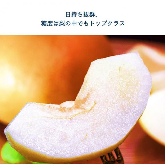 糖度14度選別 『南水梨』長野県産 約2.5kg（4～7玉）簡易箱 （等級：太鼓判・優糖生またはロイヤル）※冷蔵　送料無料02