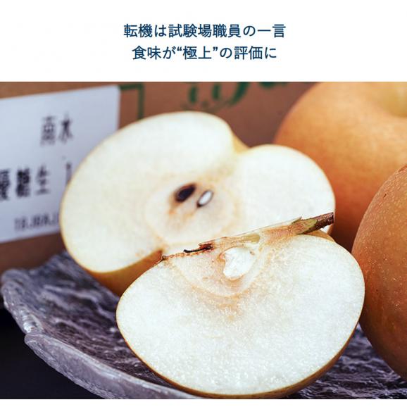 糖度14度選別 『南水梨』長野県産 約2.5kg（4～7玉）簡易箱 （等級：太鼓判・優糖生またはロイヤル）※冷蔵　送料無料06