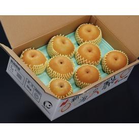 『一糖賞（梨）』新潟県産 品種:新高 約5kg（5～10玉） 産地箱 ※常温 JA新潟かがやき 送料無料