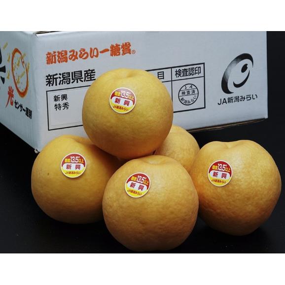 糖度13.5度以上『一糖賞 梨（品種：新興）』新潟県産 約2.3kg（3～5玉） 簡易箱 ※常温 JA新潟かがやき　送料無料02