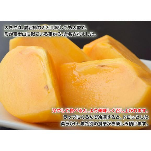 『訳あり富士柿』 愛媛県産 約4kg（約2kg×2箱）1箱4～6玉 ※常温 送料無料03