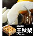 【カード・代引き限定】『大玉 王秋梨』鳥取県産 風袋込 約5kg（6〜9玉）産地箱 ※常温 送料無料
