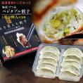 国産素材にこだわった『和匠づつみ　ベジタブル餃子 』1箱 10個入（約230g）※冷凍