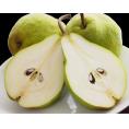 『エルドラド』山形県産　西洋梨 秀品 約3kg（7～12玉）　産地箱　※常温 送料無料