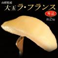 『ラ・フランス』 山形県産 西洋梨　秀品 約2kg（5〜9玉）　産地箱　※常温 送料無料