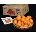 畑さんの『田村みかん』和歌山県有田産　赤秀品　約5kg（S-M）サイズ　※常温　送料無料