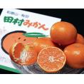 畑さんの『ちいさな田村みかん』　和歌山県有田産　約5kg（2S-3S混合）手詰め　産地箱入り　※常温　送料無料