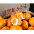 大玉　日の丸みかん　愛媛県産 3L 約5kg 簡易箱 ※常温 JAにしうわ　送料無料