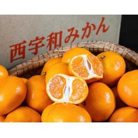 大玉　日の丸みかん　愛媛県産 3L 約5kg 簡易箱 ※常温 JAにしうわ　送料無料