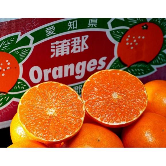 JA蒲郡市『あすみ』 愛知県産 柑橘 ハウス栽培品 優UP S〜L 約2.5kg 簡易箱 ※常温 送料無料03
