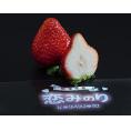 恋みのり　熊本県産 いちご 約250g ×2パック ※冷蔵 送料無料