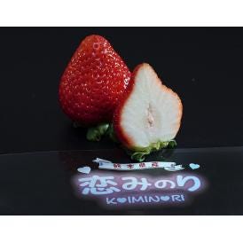 恋みのり　熊本県産 いちご 約250g ×2パック ※冷蔵 送料無料