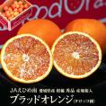 JAえひめ南 ブラッドオレンジ （タロッコ種） 愛媛県産 柑橘 L～2Lサイズ 秀品 約5kg (30～45玉）産地箱入 ※常温 送料無料