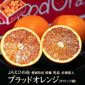 JAえひめ南「ブラッドオレンジ（タロッコ種）」愛媛県産 柑橘 L～2Lサイズ 秀品 約5kg (30～45玉）産地箱入 ※常温 送料無料