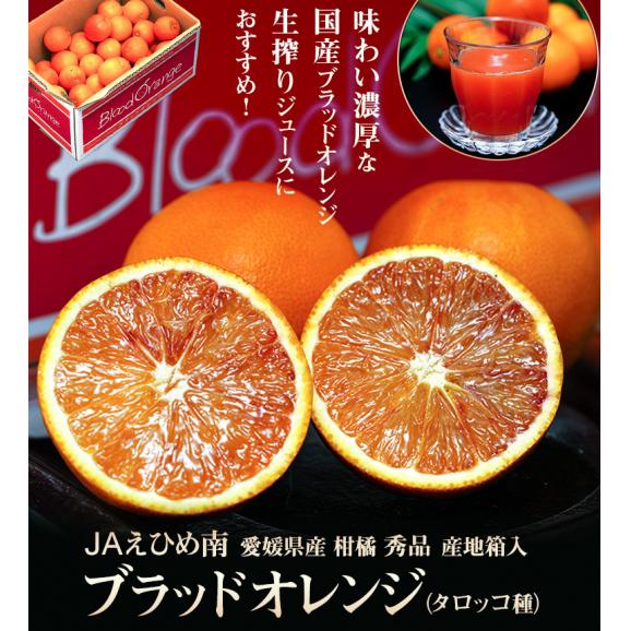 JAえひめ南 ブラッドオレンジ （タロッコ種） 愛媛県産 柑橘 L～2Lサイズ 秀品 約5kg (30～45玉）産地箱入 ※常温 送料無料02