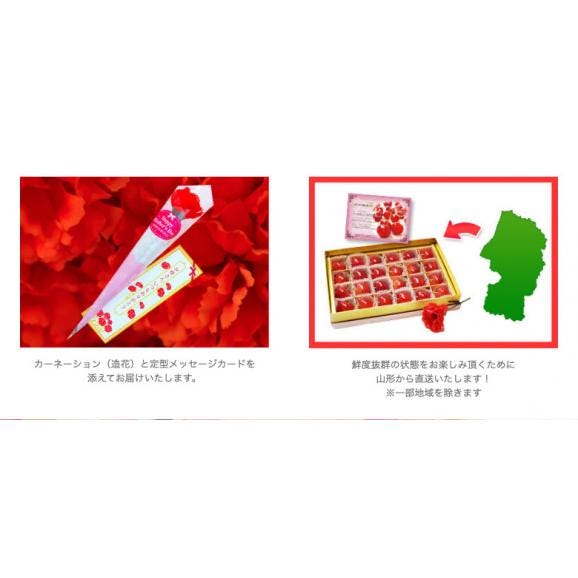 母の日 さくらんぼ プレゼント 佐藤錦【山形県産（東根・村山他） Mサイズ 24粒 化粧箱】 産地直送 送料無料 カーネーション メッセージカード付き 常温02