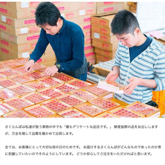 母の日 さくらんぼ プレゼント 佐藤錦【山形県産（東根・村山他） Mサイズ 24粒 化粧箱】 産地直送 送料無料 カーネーション メッセージカード付き 常温03