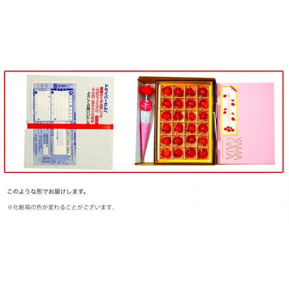 母の日 さくらんぼ プレゼント 佐藤錦【山形県産（東根・村山他） Mサイズ 24粒 化粧箱】 産地直送 送料無料 カーネーション メッセージカード付き 常温05