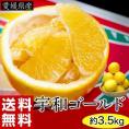 愛媛県産　宇和ゴールド　M～2L　風袋込 約3.5kg　 (目安として8～12玉)　優～秀品　※常温　送料無料