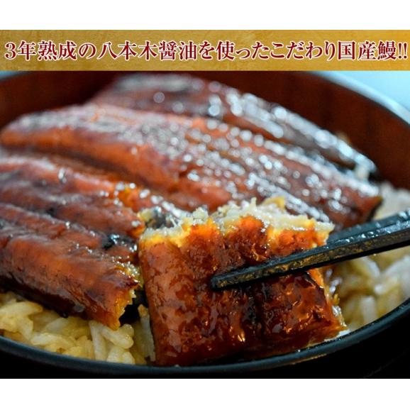 『炭火焼八本木うなぎ』宮崎県産 約70g×5P タレ・山椒5P付き ※冷凍 送料無料02