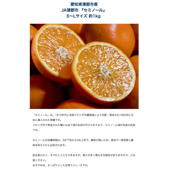 送料無料 『高糖度メロン肥後グリーン入りフルーツ4種セット』メロン1玉・パイン1玉・柑橘2種 計約4.1kg 簡易包装 ※常温04