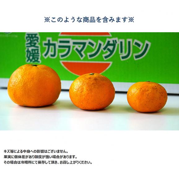 愛媛県 中島地域産 　カラマンダリン　キズ有り　2Sサイズ 約5kg 簡易梱包 ※冷蔵　目安として80～90個程度 送料無料02