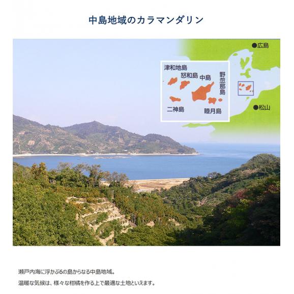 愛媛県 中島地域産 　カラマンダリン　キズ有り　2Sサイズ 約5kg 簡易梱包 ※冷蔵　目安として80～90個程度 送料無料05
