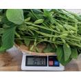 千葉県産 葉付き枝豆 『神風香』 1箱 10本（枝葉込み：約1.5kg／房の重量で約700g） ※冷蔵
