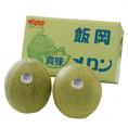 『貴味メロン（青肉）』 千葉県飯岡産　4L～5Lサイズ×2玉 風袋込 約3.2kg ※常温 送料無料
