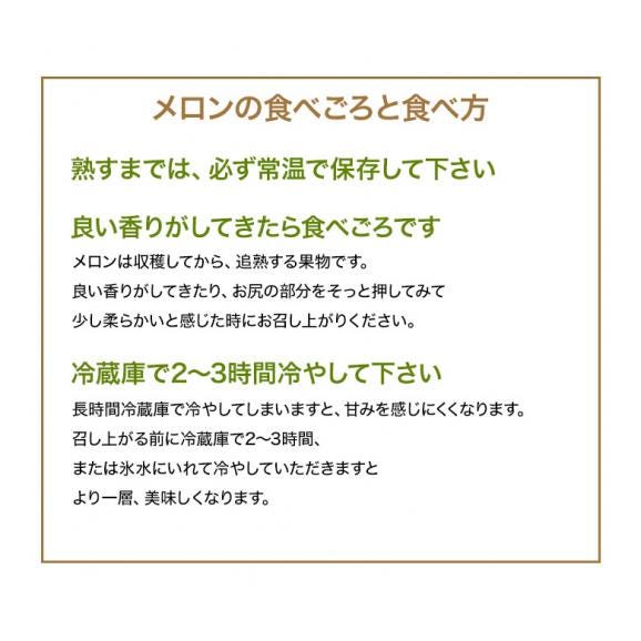 『貴味メロン（青肉）』 千葉県飯岡産　4L～5Lサイズ×2玉 風袋込 約3.2kg ※常温 送料無料05