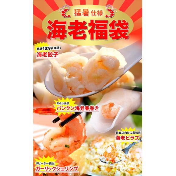『海老福袋・猛暑仕様』 海老総菜4種（海老餃子、海老春巻、ガーリックシュリンプ、海老ピラフ） 総重量2.3kg以上 ※冷凍 送料無料02