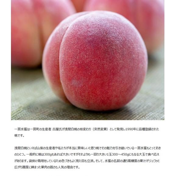 JAふえふき 一宮西支所 糖度13度基準 桃 品種一宮水蜜 特秀品 大玉 5～6玉 約2kg 化粧箱 ※常温04