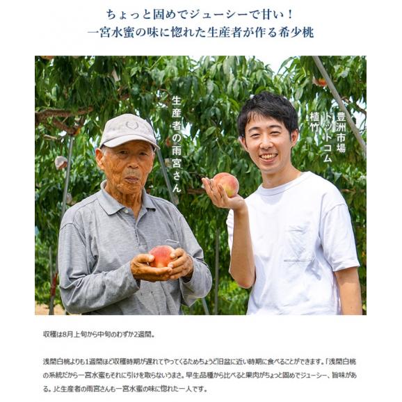 JAふえふき 一宮西支所 糖度13度基準 桃 品種一宮水蜜 特秀品 大玉 5～6玉 約2kg 化粧箱 ※常温05