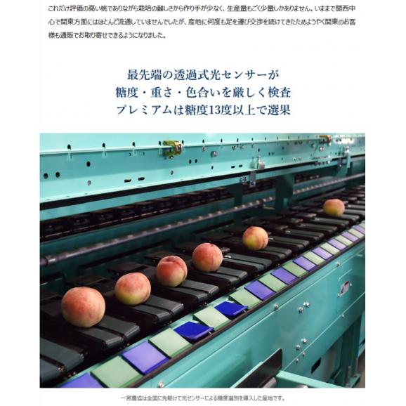 JAふえふき 一宮西支所 糖度13度基準 桃 品種一宮水蜜 特秀品 大玉 5～6玉 約2kg 化粧箱 ※常温06