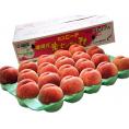 『伊達の桃』特秀品 13～22玉 約5kg　福島県産 産地箱 ※冷蔵 JAふくしま未来 送料無料