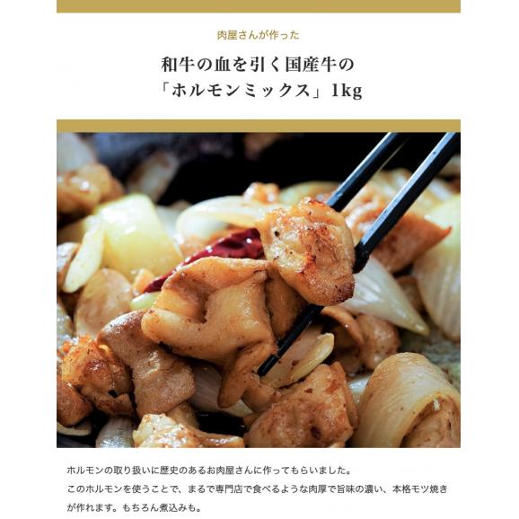 国産牛 『ホルモンミックス』 1kg ※冷凍 送料無料02