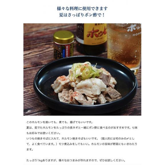 国産牛 『ホルモンミックス』 1kg ※冷凍 送料無料05