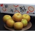 『一糖賞（梨）』 新潟県産 品種:幸水梨 約2.5kg（6～9玉）簡易箱 ※冷蔵 JA新潟かがやき 送料無料