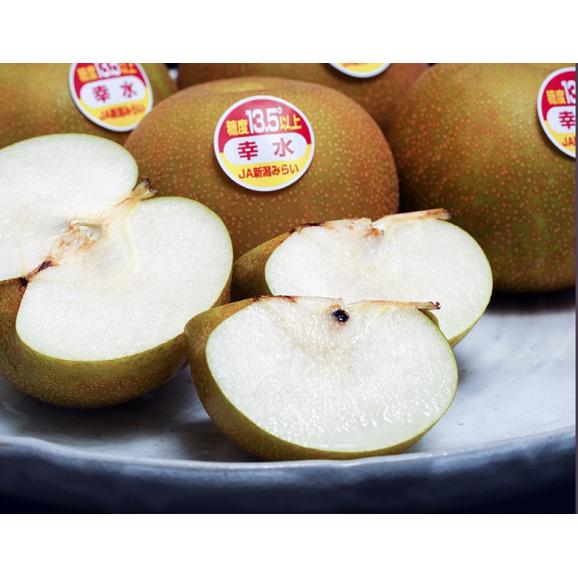 『一糖賞（梨）』 新潟県産 品種:幸水梨 約2.5kg（6～9玉）簡易箱 ※冷蔵 JA新潟かがやき 送料無料03
