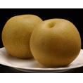『旬の梨（品種：豊水）』新潟県産 優品 約5kg（14～16玉）簡易箱 ※冷蔵 JA新潟かがやき　送料無料