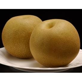 『旬の梨（品種：豊水）』新潟県産 優品 約5kg（14～16玉）簡易箱 ※冷蔵 JA新潟かがやき　送料無料