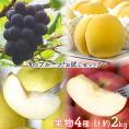 『ナガノパープルと、伊達の黄桃、二十世紀梨、おぜの紅りんご』 全4品 計約2kg 簡易包装 ※冷蔵 送料無料