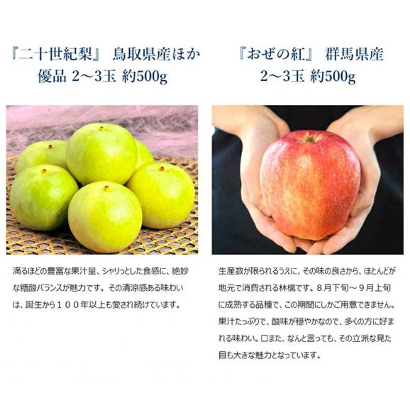 『ナガノパープルと、伊達の黄桃、二十世紀梨、おぜの紅りんご』 全4品 計約2kg 簡易包装 ※冷蔵 送料無料05