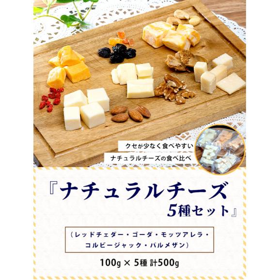 『５種チーズセット』（レッドチェダー・ゴーダ・モッツアレラ・コルビージャック・パルメザン）100g×5種 計500g ※冷凍 送料無料02