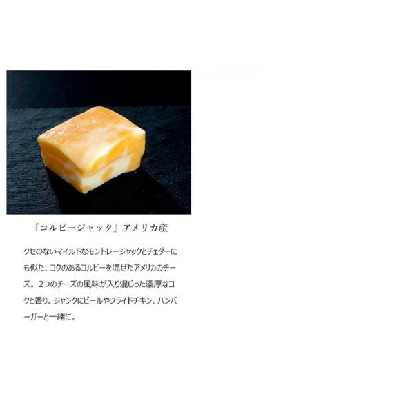『５種チーズセット』（レッドチェダー・ゴーダ・モッツアレラ・コルビージャック・パルメザン）100g×5種 計500g ※冷凍 送料無料05