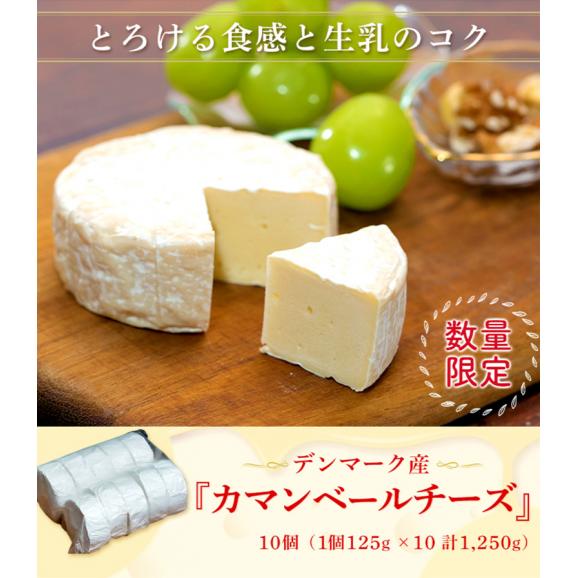 『カマンベールチーズ』10個 125ｇｘ10（計1,250g） ※冷凍 送料無料02