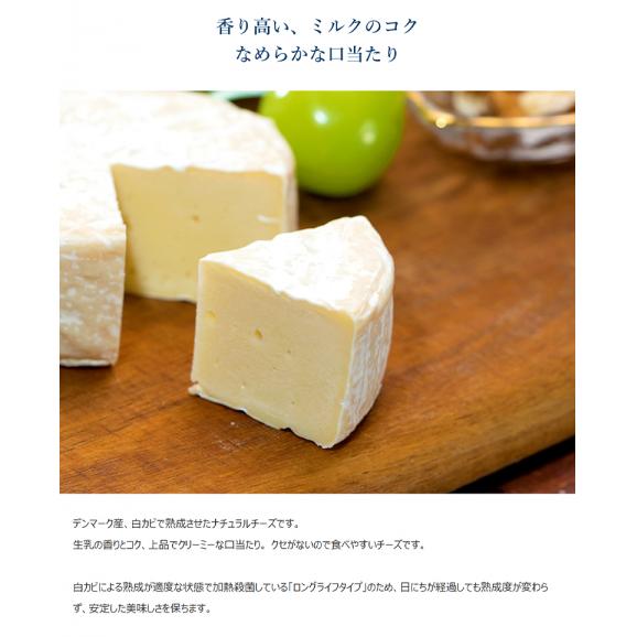 『カマンベールチーズ』10個 125ｇｘ10（計1,250g） ※冷凍 送料無料03